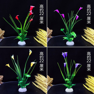 摆盘装饰花草厨房