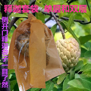 释迦果套袋侧开凤梨蜜释迦果套袋专用袋赖球佛头果袋牛奶刺果番荔