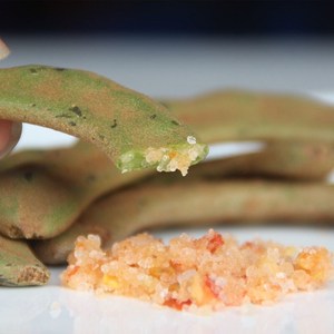 500g海南儋州特产生酸梅青酸豆生酸角 三亚酸鱼汤原料 孕妇新鲜