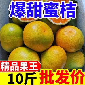 云南蜜橘青皮橘子水果新鲜小绿薄当季非沃柑橘无籽蜜桔子10斤整箱