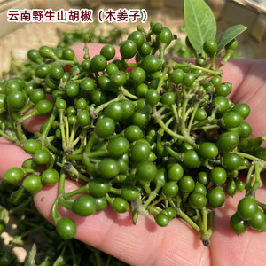 新鲜山胡椒野生木姜子云南特产山苍子临沧佐料珊瑚椒现摘木浆子