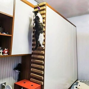 爱玩猫爬架猫笼蹬天梯/桥两用实木麻绳可连接跳台猫窝/磨爪神器