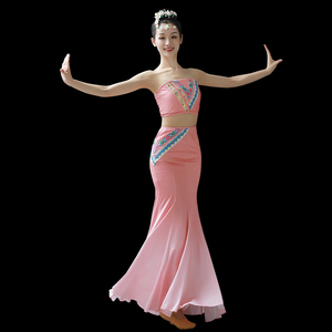 燕子舞成人儿童云南孔雀舞包臀鱼尾裙傣族舞蹈服装演出服艺考定制