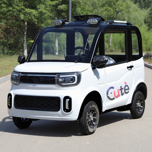 全封闭电动四轮车家用小型女性代步电瓶车油电两用成人新能源汽车