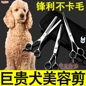 巨型贵宾犬巨贵犬专用美容剪刀套装工具宠物修毛剪毛神器弯剪牙剪