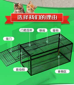 捕猫神器抓猫笼捉猫神器捉猫逮猫全自动捕猫笼抓流浪猫野猫捕抓器