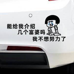 阿姨我不想努力了汽车贴纸介绍几个富婆个性搞笑车贴文字表情包贴