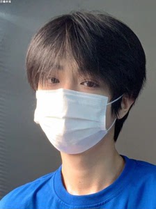 假发男gay碎盖头超a奶狗锅盖头基佬百搭短直发蓬松日常齐耳全头套