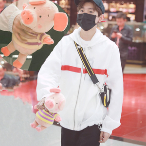 ins王源同款小猪威比猪少女心玩偶网红公仔毛绒玩具女生生日礼物