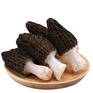 云南特产新鲜羊肚菌鲜货羊肚菌菇羊肝菌煲汤食材羊肚菇非野生菌菇