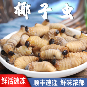 油炸昆虫云南特产椰子虫活体冰鲜冷冻烧烤食材小吃个头大虫子