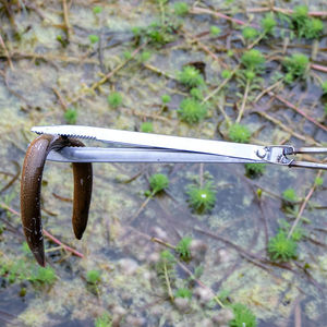 新款防滑黄鳝夹泥鳅鳝鱼钳赶海神器不锈钢夹蛇加长夹子垃圾夹工具