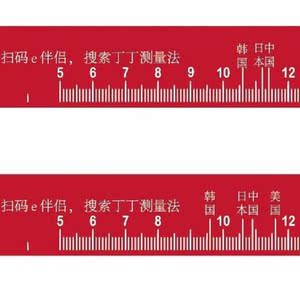 测量尺专用阴茎长度测量器丁丁茎尺寸jj测量尺器内裤情趣阴测量仪