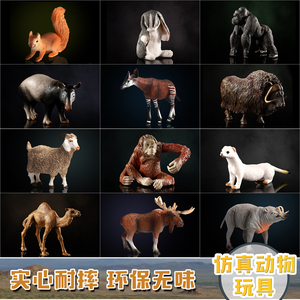 仿真动物模型玩具套装动物园野生公牛象龟大猩猩刺猬角马母狮狐猴