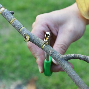 新款正品金刃环割/刀果树环剥刀/刀萄荔枝枣树桃树环剥葡宽口加.