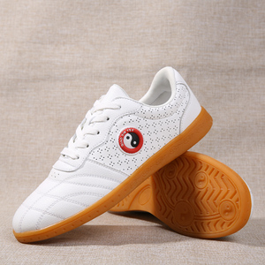 铬安踏雁太极鞋男女真皮软牛筋底武术鞋男春季休闲太极拳练功鞋男