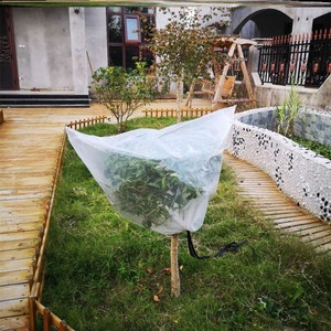 网红冬天防冻花罩花卉防寒保温a罩植物防冻罩盆栽塑料袋花卉过冬
