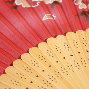 网红包邮中国风扇子真丝绸缎面女式绢扇 女扇日式折扇 z出国礼品