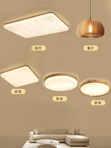 三室两厅灯具套餐雷士