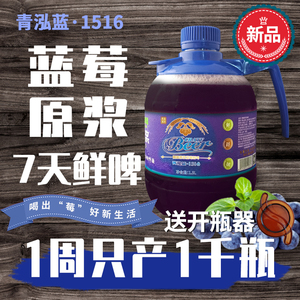 青岛蓝莓啤酒