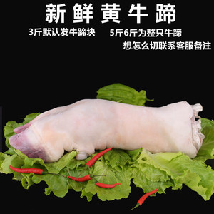 新鲜原切整只大牛蹄黄牛蹄生牛脚筋肉相连整根带骨牛掌连云港牛肉