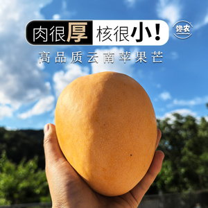 6月当季现摘云南芒果苹果芒精品大果澳芒鹰嘴芒新鲜