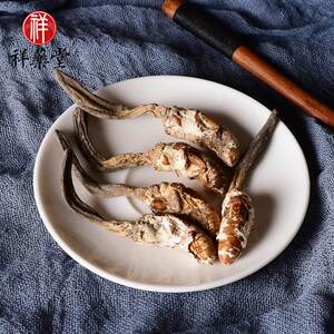 zb新货独角金蝉花公蝉花 雄蝉花个大饱满非中药材野生正品虫草粉