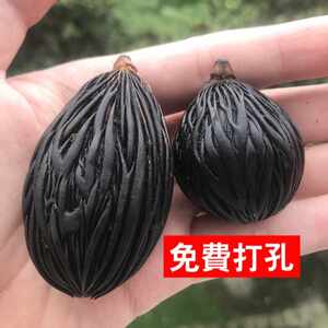 千丝菩提◆狐尾椰挂饰吊坠手串手把件