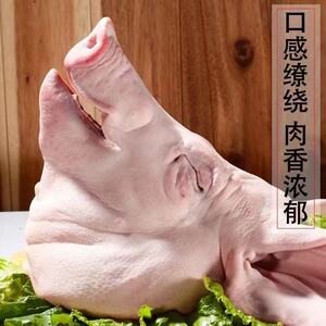 人付款淘宝顺丰包邮山东新鲜猪头生猪头土猪带耳朵猪舌猪脑带骨猪脸