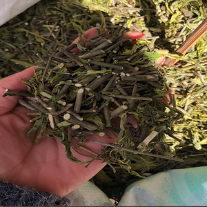 中药材 麻叶莲 麻叶连:云南西双版纳特产 500克 面膜 统 带枝