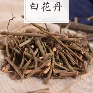 中药材 白花丹 别名:山坡芩 千里及 一见消 白雪花 500克 统