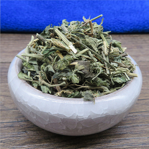 红丝线草