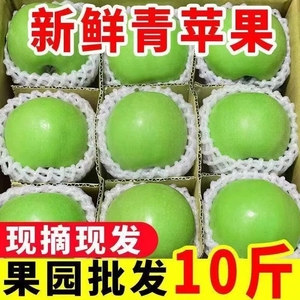 山西青苹果10斤水果新鲜应当季丑萍果整箱红孕妇冰糖心富士5包邮
