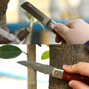 【黄师傅】嫁接刀工具果树粗树接树芽接刀果树嫁接刀