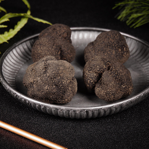 新鲜黑松露野生菌成熟4cm以上冰鲜松露云南特产高黎贡山块菌猪拱