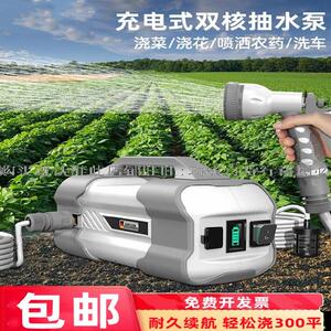 抽水泵小型地下水充电式12伏电瓶用高压简易抽水机髙压洗车河水