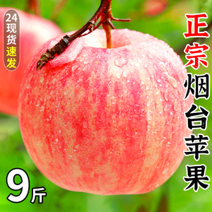 烟台红富士苹果10斤应当季新鲜水果整箱山东栖霞脆甜冰糖心丑苹果