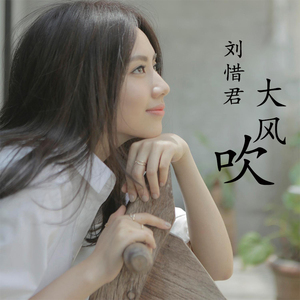 刘惜君cd专辑 大风吹 排行榜热门流行歌曲 车载无损音乐cd光盘2碟