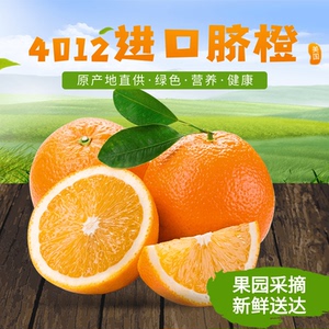 美国新奇士sunkist黑标4012大脐橙水果甜嫩多汁新鲜橙子 包邮