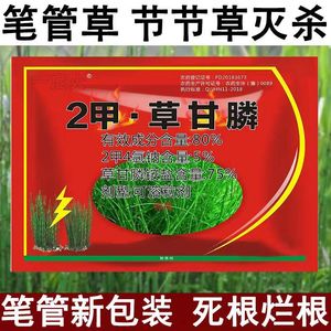 小飞蓬水花生笔管草构树阔叶杂草络石藤除草剂xiaoqingqing5200253