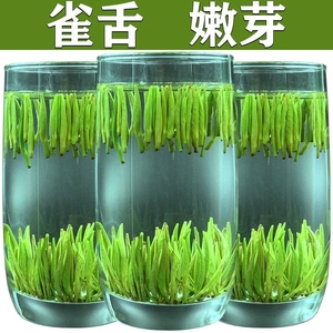 明前特级雀舌茶叶2024新茶贵州毛尖茶湄潭翠芽新鲜嫩芽浓香型500g