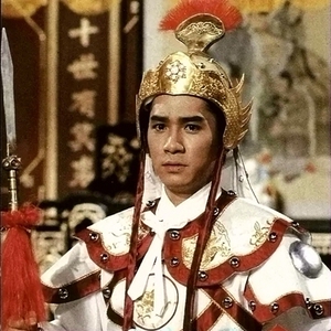 刘德华版杨家将