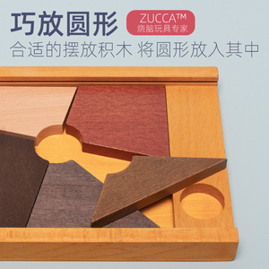 智力烧脑巧放圆形方块三角益智解谜解锁木制儿童思维训练早教教具