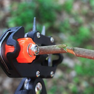 枣树苹果树工具果树架接器 芽接刀果树嫁接专用剪刀钳树苗刀家庭