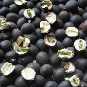 黑莲子带壳老莲子1斤铁莲子干货即食红莲莲花种子