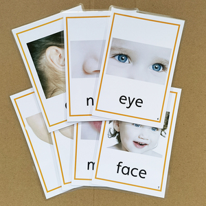 【人体部位卡片】人体部位卡片品牌,价格 - 阿里巴巴