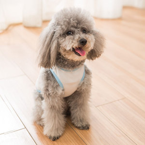 小香猪衣服猪猪