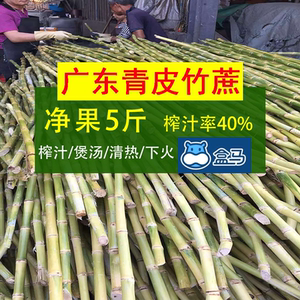 新鲜竹蔗5斤现砍现发广东青皮甘蔗榨汁清热下火茅根马蹄煲汤非黑
