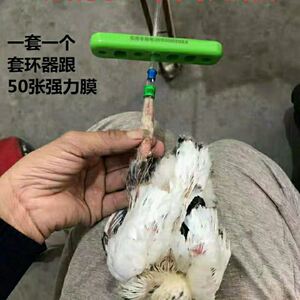 【套环器鸽子套环器】套环器鸽子套环器品牌,价格 - 阿里巴巴