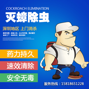 深圳上门灭蟑螂专业消杀公司除蟑螂服务预防治白蚁臭虫跳蚤杀虫